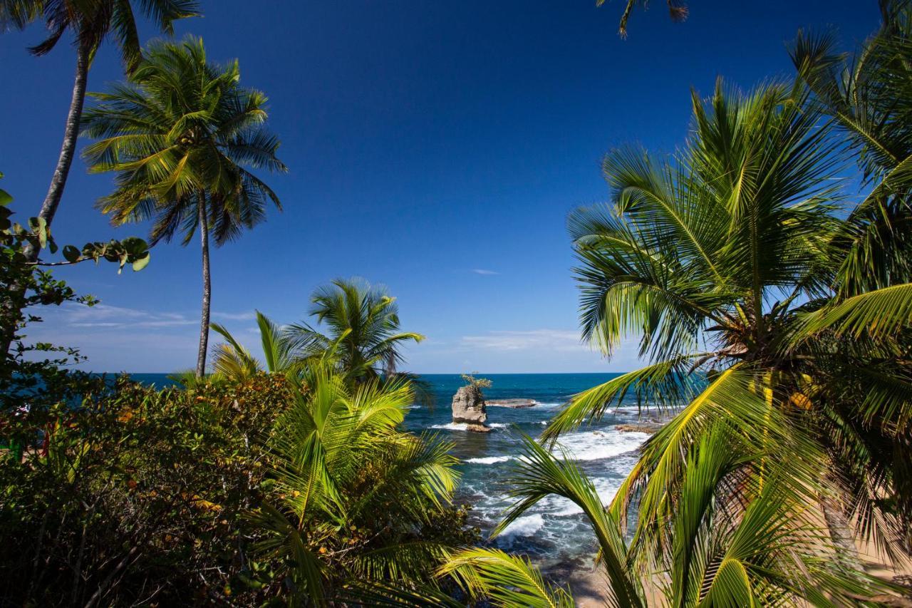 Manzanillo Caribbean Resort Puerto Viejo de Talamanca エクステリア 写真