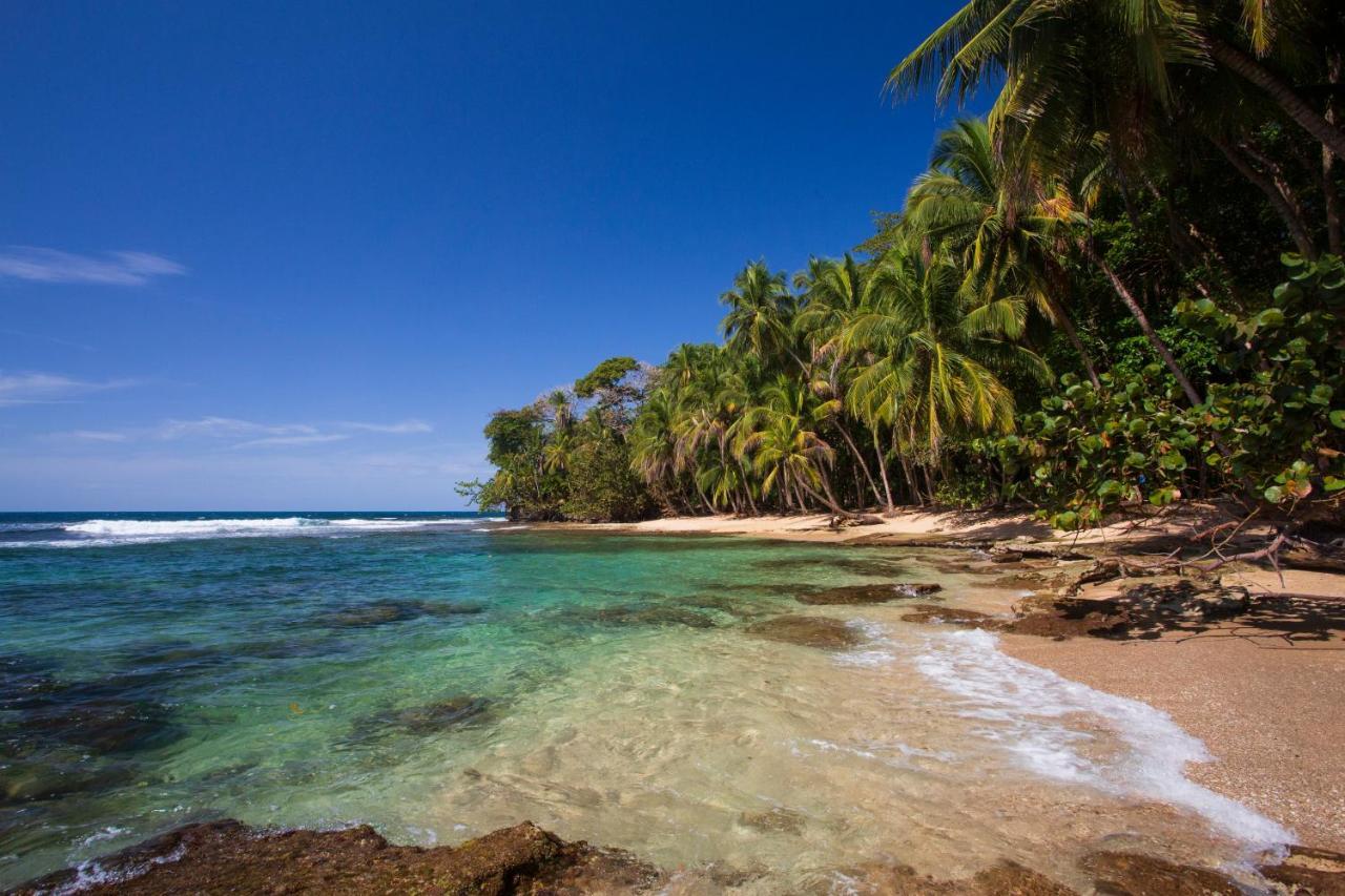 Manzanillo Caribbean Resort Puerto Viejo de Talamanca エクステリア 写真