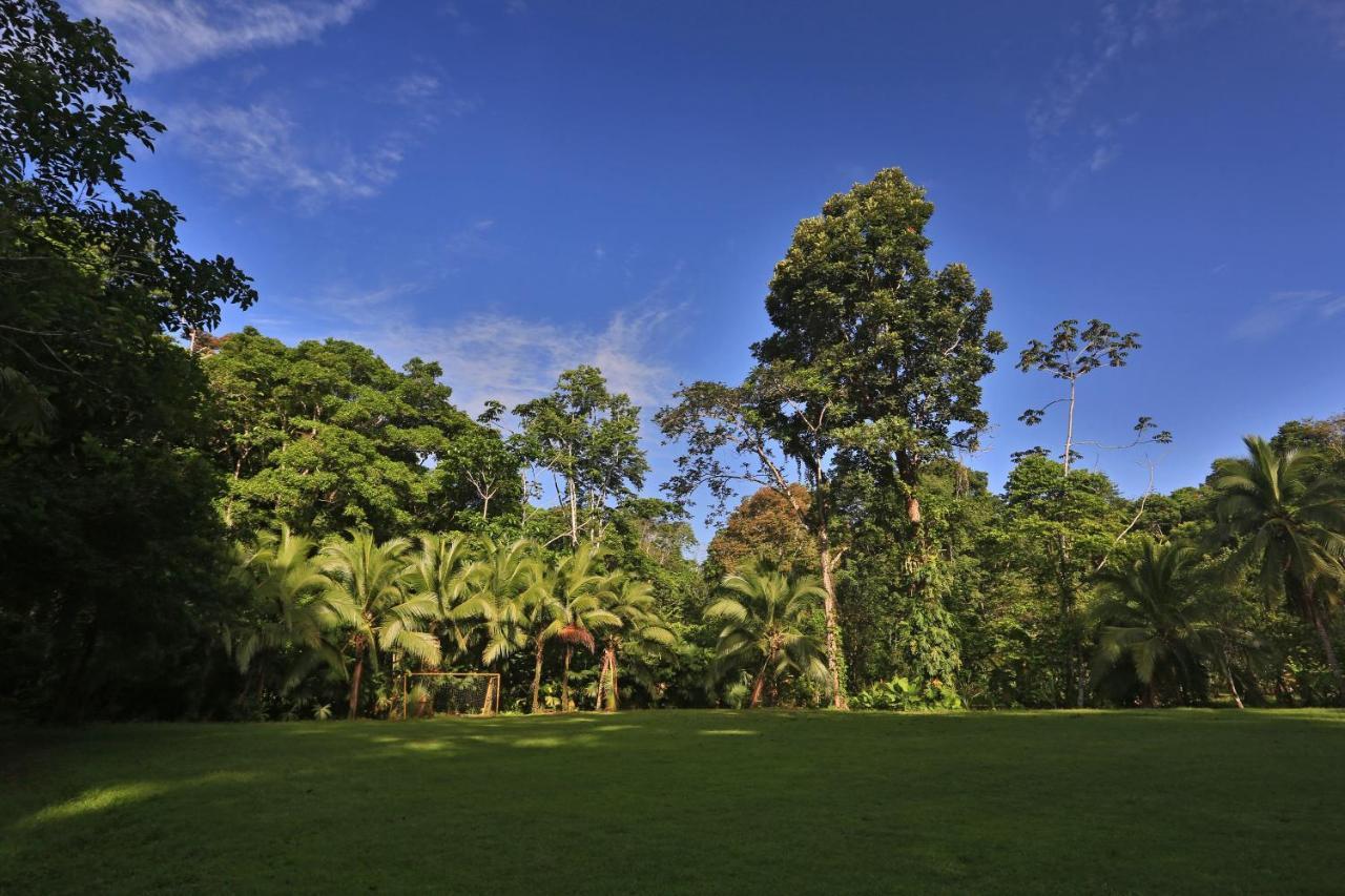 Manzanillo Caribbean Resort Puerto Viejo de Talamanca エクステリア 写真